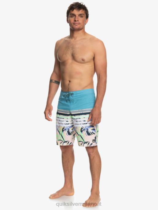 esso Quiksilver uomini tutti i giorni swell visione 20 pantaloncini da spiaggia blu delfino HTZR1617