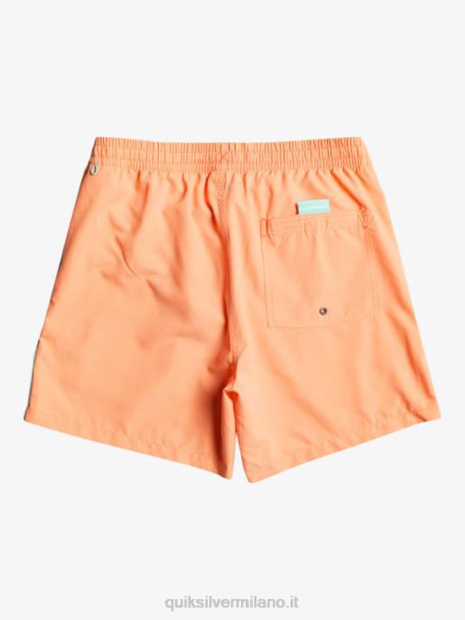 esso Quiksilver uomini tutti i giorni vert 16 raffiche salmone fresco HTZR703