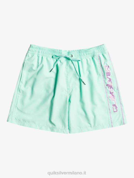esso Quiksilver uomini tutti i giorni vert 16 raffiche vetro da spiaggia HTZR702