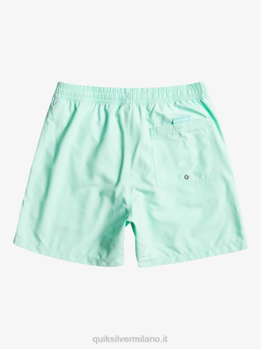esso Quiksilver uomini tutti i giorni vert 16 raffiche vetro da spiaggia HTZR702