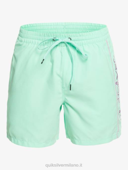 esso Quiksilver uomini tutti i giorni vert 16 raffiche vetro da spiaggia HTZR702