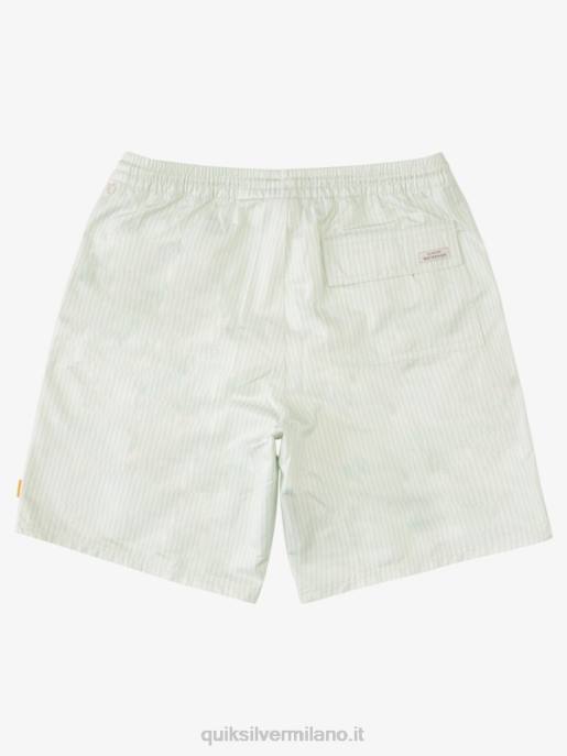esso Quiksilver uomini waterman deck stripe 19 raffiche sottile striscia verde sul ponte HTZR1843