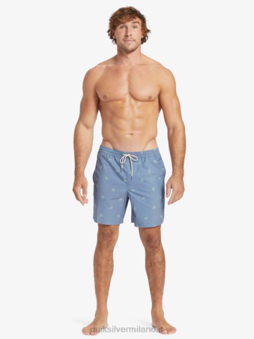 esso Quiksilver uomini waterman piccoli pedali 17 raffiche alfiere blu piccoli pedali v HTZR395