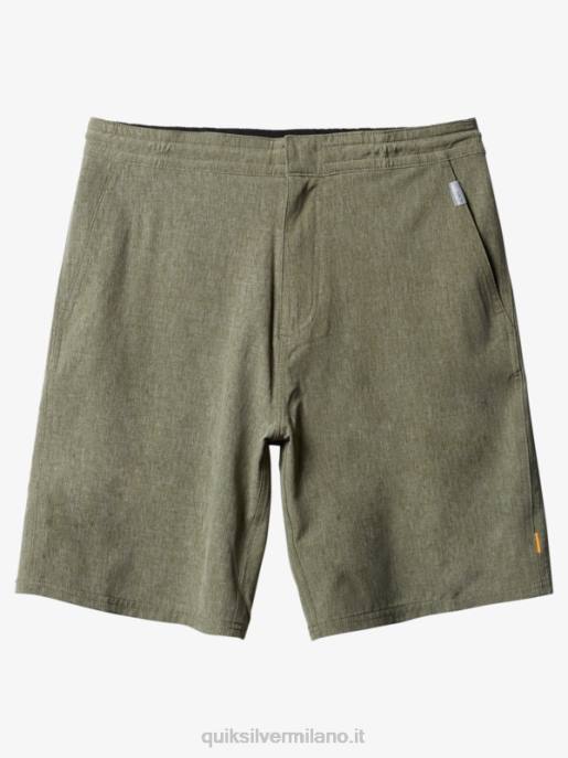 esso Quiksilver uomini waterman suva 20 pantaloncini anfibi erica a quattro foglie di trifoglio HTZR783