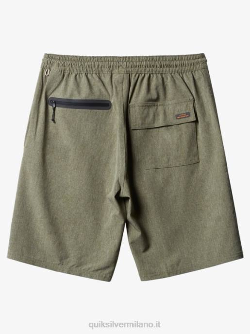 esso Quiksilver uomini waterman suva 20 pantaloncini anfibi erica a quattro foglie di trifoglio HTZR783