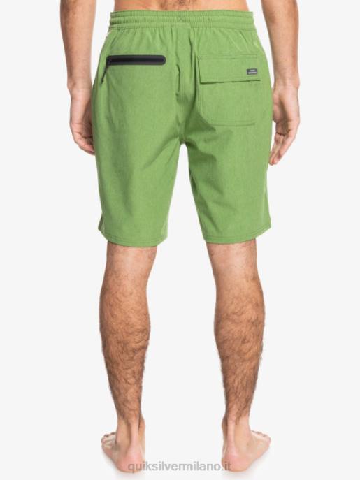 esso Quiksilver uomini waterman suva 20 pantaloncini anfibi erica a quattro foglie di trifoglio HTZR783