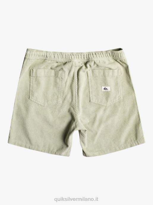 esso Quiksilver uomini pantaloncini con cordino fiscale saggio del deserto HTZR365