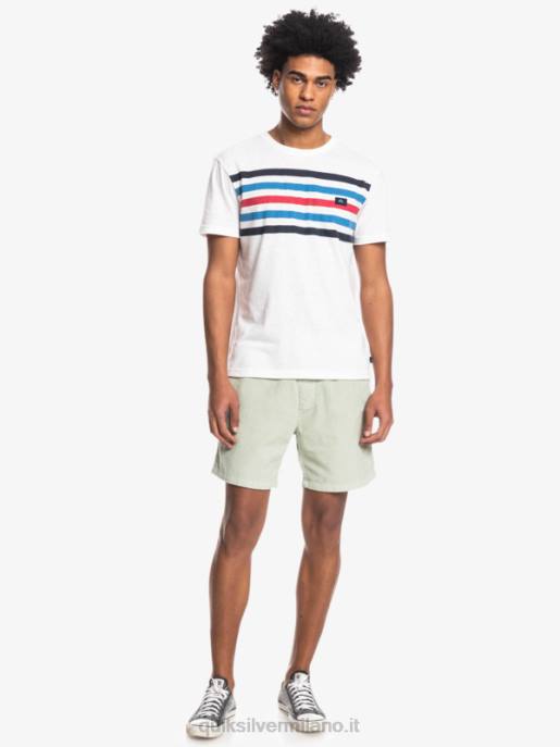 esso Quiksilver uomini pantaloncini con cordino fiscale saggio del deserto HTZR365