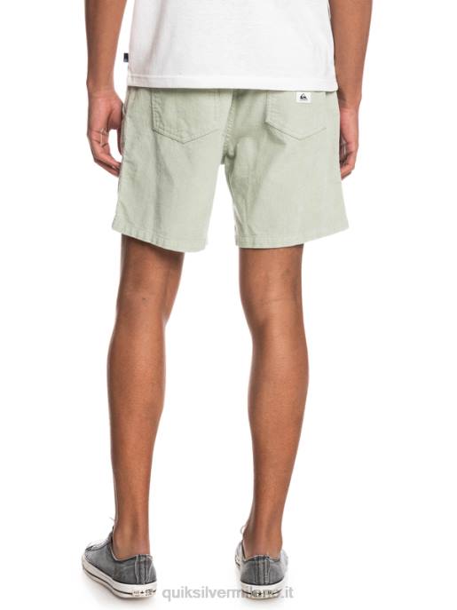 esso Quiksilver uomini pantaloncini con cordino fiscale saggio del deserto HTZR365