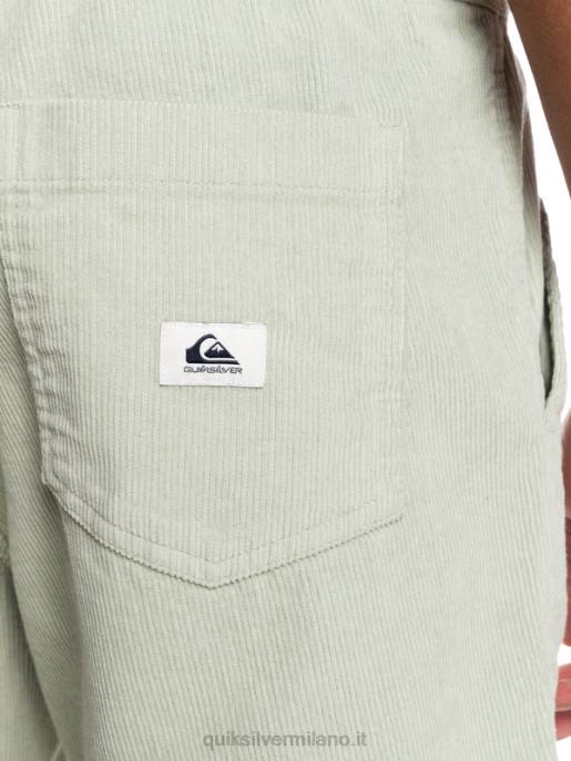 esso Quiksilver uomini pantaloncini con cordino fiscale saggio del deserto HTZR365