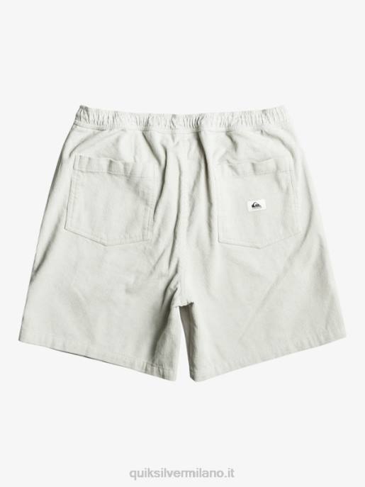 esso Quiksilver uomini pantaloncini con cordino fiscale viola grigio HTZR363