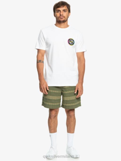 esso Quiksilver uomini pantaloncini jacquard taxer jacquar taxer quadrifoglio HTZR422