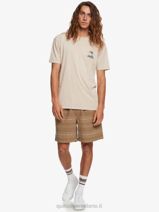 esso Quiksilver uomini pantaloncini jacquard taxer mini jacquard grigio oliva HTZR421
