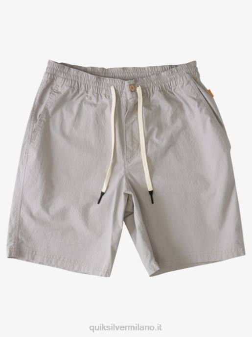 esso Quiksilver uomini waterman dopo pantaloncini da surf grigio selce HTZR1576