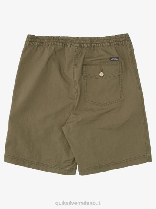 esso Quiksilver uomini waterman dopo pantaloncini da surf oliva polverosa HTZR1579