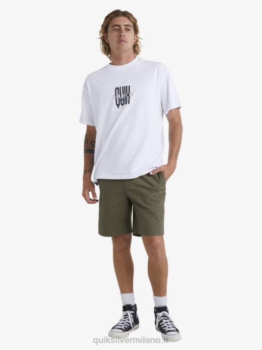esso Quiksilver uomini waterman dopo pantaloncini da surf oliva polverosa HTZR1579
