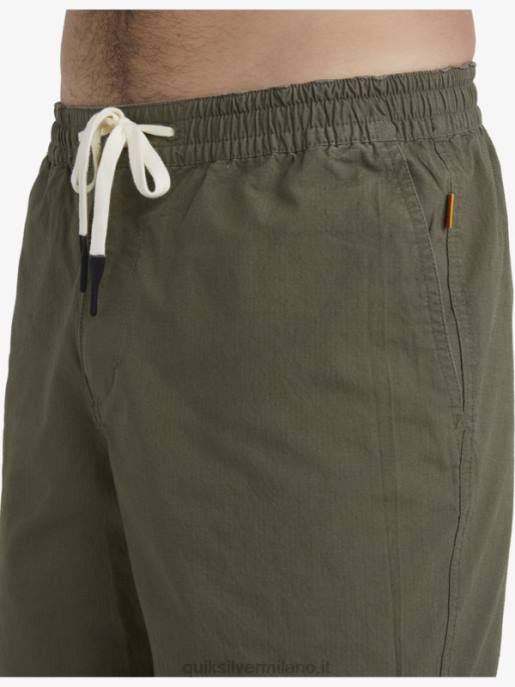 esso Quiksilver uomini waterman dopo pantaloncini da surf oliva polverosa HTZR1579