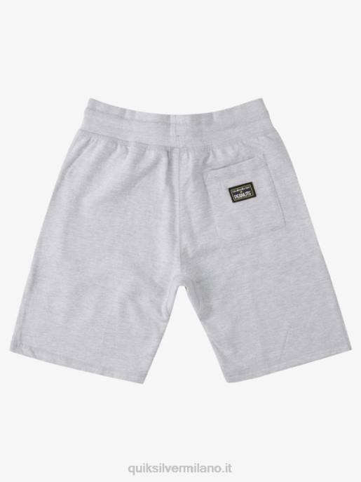 esso Quiksilver x Peanuts uomini pantaloncini leggende locali erica atletica HTZR1882